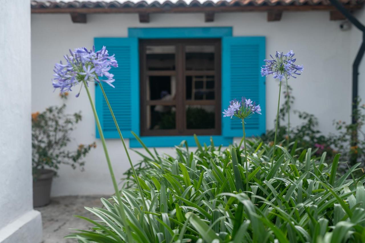 Barbara'S Boutique Hostel Antigua Luaran gambar